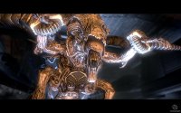 Cкриншот Aliens vs. Predator, изображение № 520154 - RAWG