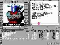 Cкриншот The Bard's Tale II: The Destiny Knight, изображение № 321504 - RAWG