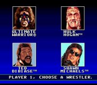 Cкриншот WWF Super WrestleMania, изображение № 761004 - RAWG
