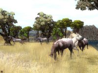 Cкриншот Wildlife Park 2. Долина лошадей, изображение № 151721 - RAWG