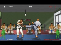 Cкриншот Karate Master - Knock Down Blow, изображение № 1052255 - RAWG