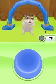 Cкриншот Petz Hamsterz Superstarz, изображение № 789902 - RAWG