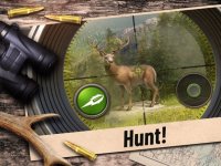 Cкриншот Hunting Clash: Hunter World, изображение № 2505903 - RAWG