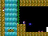 Cкриншот Super Mario Bros. 2, изображение № 248949 - RAWG