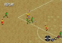 Cкриншот Fever Pitch Soccer, изображение № 759441 - RAWG