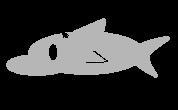 Cкриншот Shark Dash, изображение № 1696488 - RAWG
