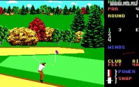Cкриншот World Class Leader Board Golf, изображение № 337946 - RAWG