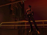 Cкриншот Catwoman, изображение № 392802 - RAWG