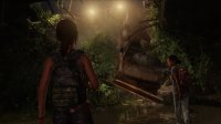 Cкриншот The Last of Us: Left Behind Stand Alone, изображение № 30432 - RAWG