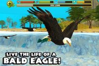 Cкриншот Eagle Simulator, изображение № 2103706 - RAWG