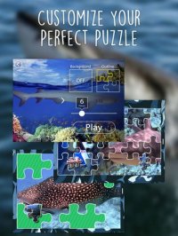 Cкриншот Shark Puzzles for Kids Jigsaw Wonder Collection, изображение № 1855184 - RAWG