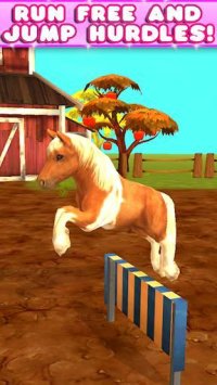 Cкриншот Virtual Pet Pony, изображение № 1561850 - RAWG