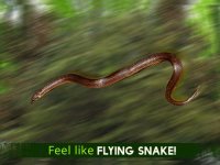 Cкриншот Real Flying Snake Attack Simulator: Hunt Wild-Life Animals in Forest, изображение № 974957 - RAWG