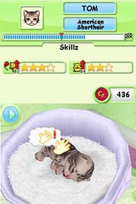 Cкриншот Petz Kittens, изображение № 255331 - RAWG