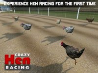 Cкриншот Hen Racing Simulator - Race Free Range Chickens, изображение № 1818960 - RAWG