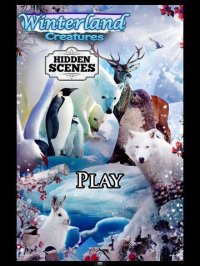 Cкриншот Hidden Scenes - Winter Creatures, изображение № 1675937 - RAWG