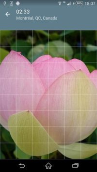 Cкриншот Jigsaw Puzzle: Flowers, изображение № 1497470 - RAWG