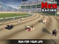 Cкриншот Hen Racing Simulator - Race Free Range Chickens, изображение № 1818959 - RAWG