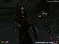 Cкриншот The Elder Scrolls 3: Tribunal, изображение № 292458 - RAWG