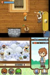 Cкриншот Harvest Moon DS: The Tale of Two Towns, изображение № 257415 - RAWG