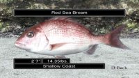 Cкриншот Reel Fishing Ocean Challenge, изображение № 792337 - RAWG