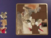 Cкриншот Super Jigsaws Kittens, изображение № 1955012 - RAWG