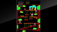 Cкриншот Arcade Archives Kangaroo, изображение № 2450727 - RAWG