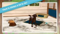Cкриншот PetHotel - My animal boarding kennel game, изображение № 1519599 - RAWG