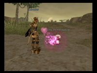 Cкриншот Final Fantasy XI, изображение № 360955 - RAWG