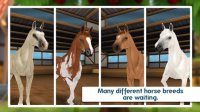Cкриншот HorseHotel - be the manager of your own ranch!, изображение № 1519497 - RAWG
