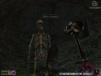 Cкриншот The Elder Scrolls 3: Tribunal, изображение № 292490 - RAWG