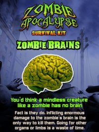 Cкриншот Zombie Apocalypse Survival Kit, изображение № 941141 - RAWG