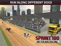 Cкриншот Sprint 100 Meter Dog Racing: Race Dogs On Tracks, изображение № 1780159 - RAWG