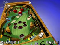 Cкриншот Pinball Master, изображение № 346794 - RAWG