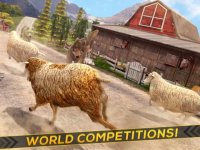 Cкриншот Sheep Racing Adventure in The Tiny Virtual Pet Town, изображение № 2024602 - RAWG