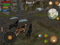 Cкриншот Dog Survival Simulator, изображение № 2327822 - RAWG