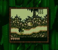 Cкриншот Donkey Kong Land, изображение № 746824 - RAWG