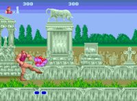 Cкриншот SEGA Mega Drive Classic Collection Volume 1, изображение № 571949 - RAWG
