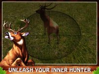 Cкриншот 3D Wild Animal Ultimate Hunting, изображение № 1734923 - RAWG
