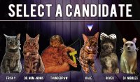 Cкриншот Cat President ~A More Purrfect Union~, изображение № 152360 - RAWG