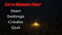 Cкриншот Lost in Sirenheads Forest, изображение № 2701691 - RAWG