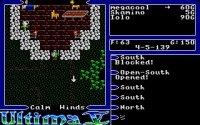 Cкриншот Ultima V: Warriors of Destiny, изображение № 738485 - RAWG