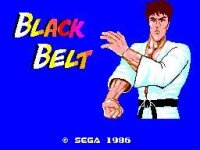 Cкриншот Black Belt (Proto for GameCodeur), изображение № 1714797 - RAWG