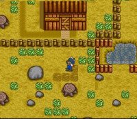 Cкриншот Harvest Moon, изображение № 761777 - RAWG