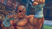 Cкриншот Street Fighter 4, изображение № 490918 - RAWG