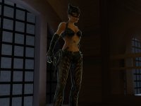 Cкриншот Catwoman, изображение № 392804 - RAWG
