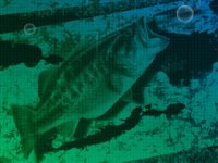 Cкриншот Angler's Club: Ultimate Bass Fishing 3D, изображение № 243795 - RAWG