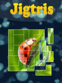 Cкриншот Jigtris Puzzle, изображение № 1650263 - RAWG