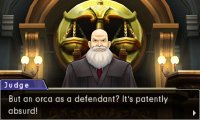 Cкриншот Phoenix Wright: Ace Attorney - Dual Destinies, изображение № 262476 - RAWG
