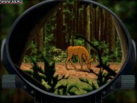 Cкриншот Deer Avenger 2, изображение № 298655 - RAWG